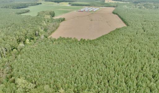 Photo #9 of Off Medical Center Road , Gates, NC 54.4 acres