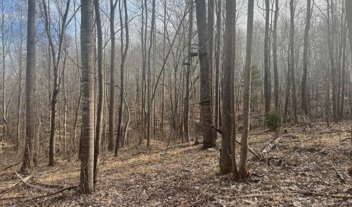 Photo #36 of Off Yorkshire Drive, Sandy Level, VA 20.0 acres