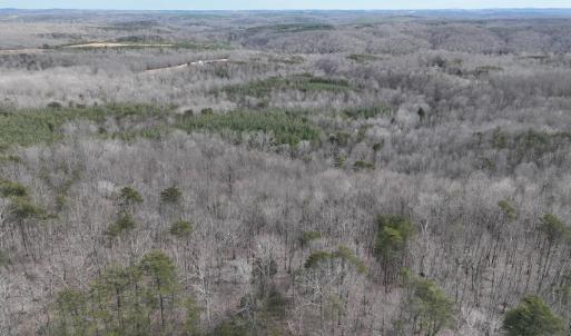 Photo #27 of Off Yorkshire Drive, Sandy Level, VA 20.0 acres