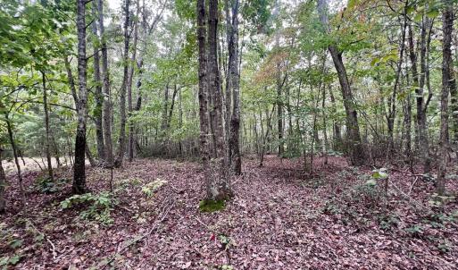Photo #2 of Off Yorkshire Drive, Sandy Level, VA 20.0 acres