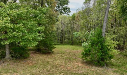 Photo #12 of Off Yorkshire Drive, Sandy Level, VA 20.0 acres