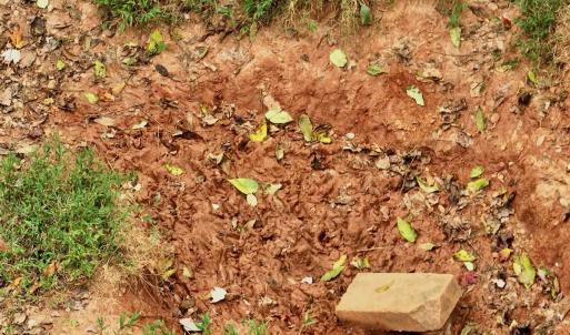 Photo #15 of Off Yorkshire Drive, Sandy Level, VA 20.0 acres