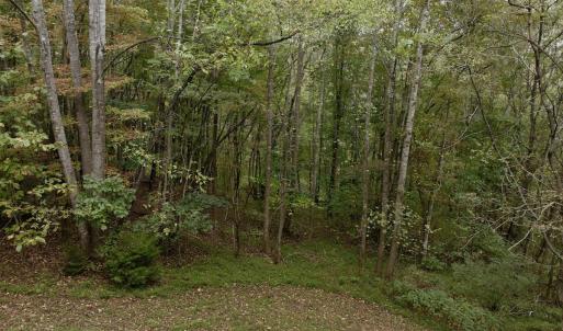 Photo #16 of Off Yorkshire Drive, Sandy Level, VA 20.0 acres
