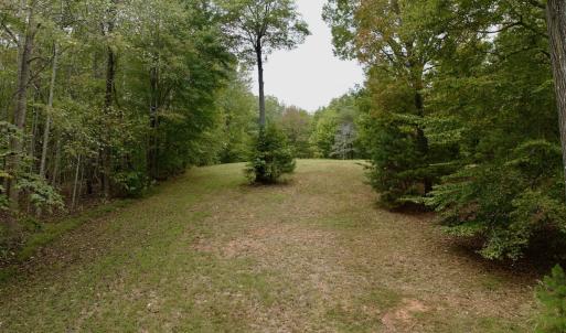 Photo #17 of Off Yorkshire Drive, Sandy Level, VA 20.0 acres