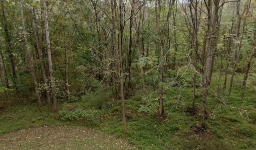 Photo #18 of Off Yorkshire Drive, Sandy Level, VA 20.0 acres