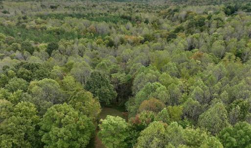 Photo #5 of Off Yorkshire Drive, Sandy Level, VA 20.0 acres