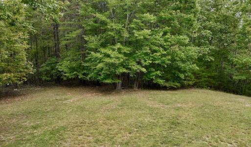 Photo #10 of Off Yorkshire Drive, Sandy Level, VA 20.0 acres