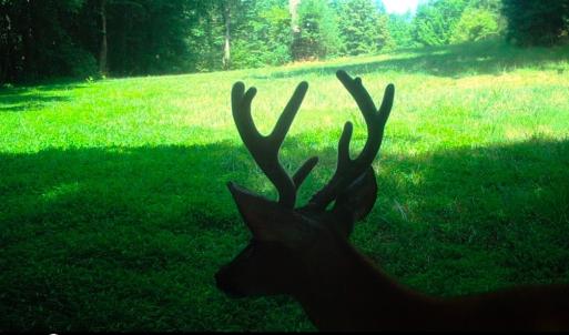 Photo #48 of Off Yorkshire Drive, Sandy Level, VA 20.0 acres