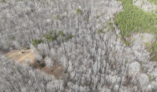 Photo #57 of Off Yorkshire Drive, Sandy Level, VA 20.0 acres