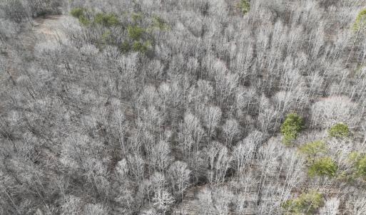 Photo #62 of Off Yorkshire Drive, Sandy Level, VA 20.0 acres