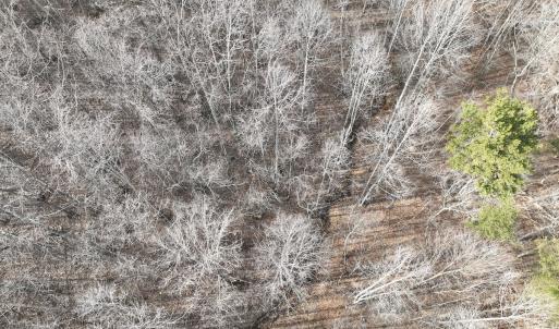 Photo #63 of Off Yorkshire Drive, Sandy Level, VA 20.0 acres