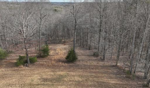 Photo #66 of Off Yorkshire Drive, Sandy Level, VA 20.0 acres