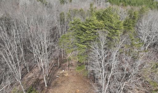 Photo #68 of Off Yorkshire Drive, Sandy Level, VA 20.0 acres