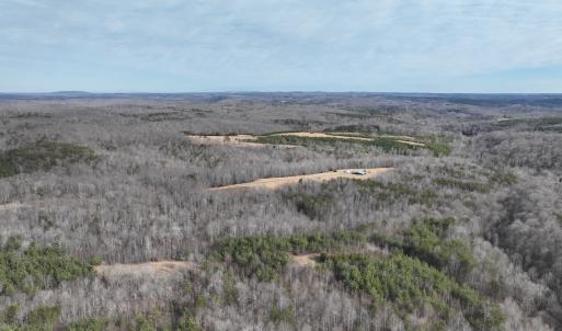 Photo #70 of Off Yorkshire Drive, Sandy Level, VA 20.0 acres