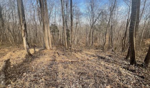 Photo #85 of Off Yorkshire Drive, Sandy Level, VA 20.0 acres