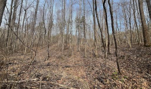 Photo #87 of Off Yorkshire Drive, Sandy Level, VA 20.0 acres