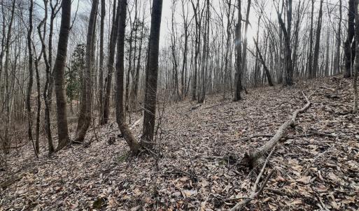 Photo #90 of Off Yorkshire Drive, Sandy Level, VA 20.0 acres