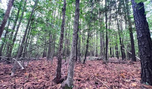 Photo #9 of Off Old Lewis School Road, Middlesex, NC 12.2 acres