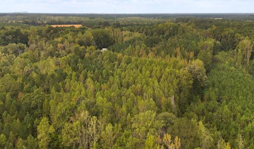 Photo #14 of Off Old Lewis School Road, Middlesex, NC 12.2 acres