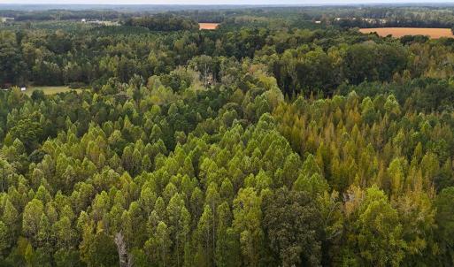 Photo #19 of Off Old Lewis School Road, Middlesex, NC 12.2 acres