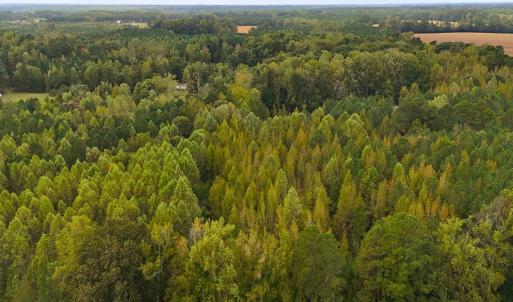 Photo #20 of Off Old Lewis School Road, Middlesex, NC 12.2 acres