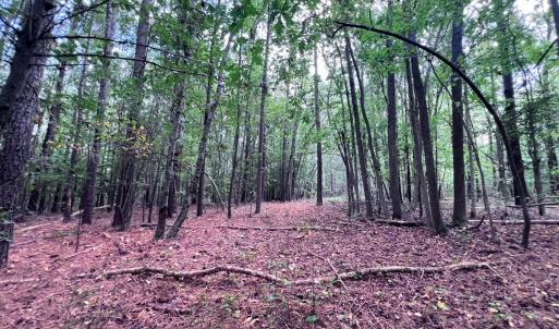 Photo #24 of Off Old Lewis School Road, Middlesex, NC 12.2 acres
