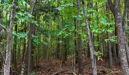 Photo #25 of Off Old Lewis School Road, Middlesex, NC 12.2 acres