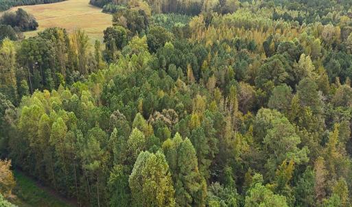 Photo #2 of Off Old Lewis School Road, Middlesex, NC 12.2 acres