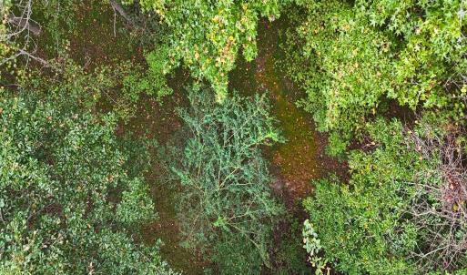 Photo #29 of Off Old Lewis School Road, Middlesex, NC 12.2 acres