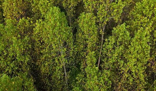 Photo #30 of Off Old Lewis School Road, Middlesex, NC 12.2 acres