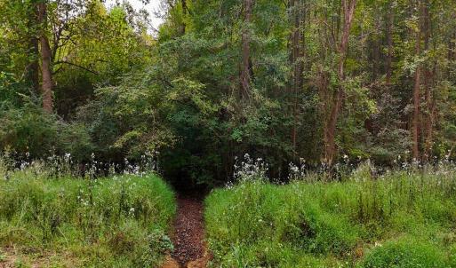 Photo #31 of Off Old Lewis School Road, Middlesex, NC 12.2 acres