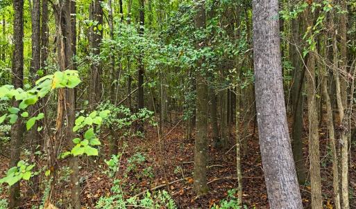 Photo #32 of Off Old Lewis School Road, Middlesex, NC 12.2 acres