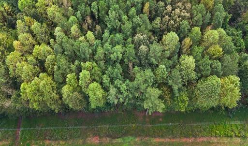 Photo #33 of Off Old Lewis School Road, Middlesex, NC 12.2 acres