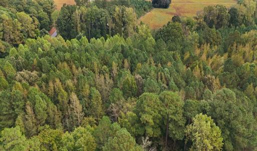 Photo #4 of Off Old Lewis School Road, Middlesex, NC 12.2 acres