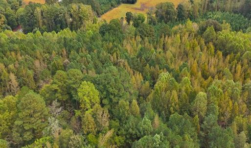 Photo #5 of Off Old Lewis School Road, Middlesex, NC 12.2 acres