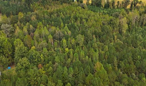 Photo #6 of Off Old Lewis School Road, Middlesex, NC 12.2 acres