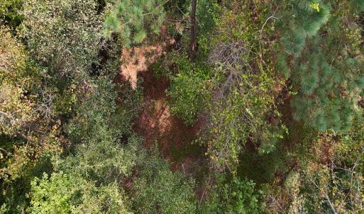 Photo #8 of Off Old Lewis School Road, Middlesex, NC 12.2 acres