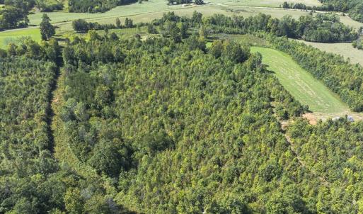 Photo #10 of 174, 176 & 135 BARKER RD, Semora, NC 36.5 acres