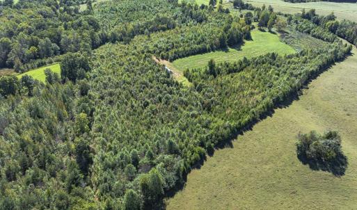 Photo #14 of 174, 176 & 135 BARKER RD, Semora, NC 36.5 acres