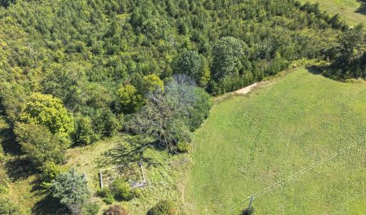 Photo #19 of 174, 176 & 135 BARKER RD, Semora, NC 36.5 acres