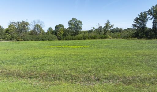 Photo #20 of 174, 176 & 135 BARKER RD, Semora, NC 36.5 acres