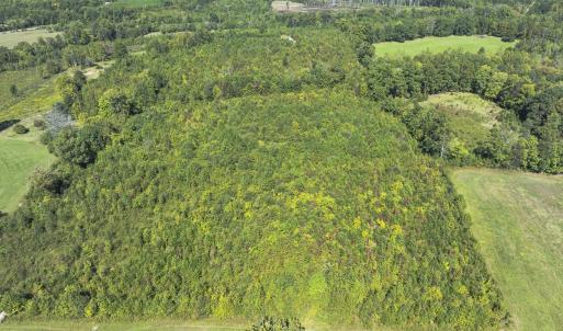 Photo #23 of 174, 176 & 135 BARKER RD, Semora, NC 36.5 acres