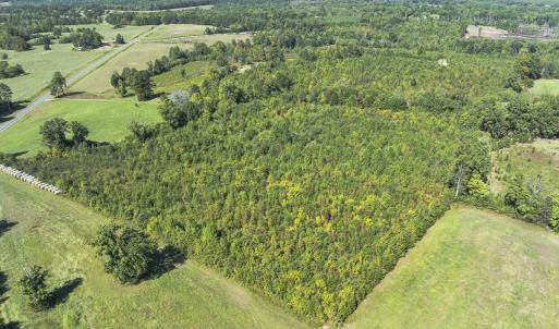 Photo #25 of 174, 176 & 135 BARKER RD, Semora, NC 36.5 acres