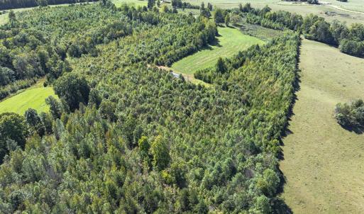 Photo #28 of 174, 176 & 135 BARKER RD, Semora, NC 36.5 acres