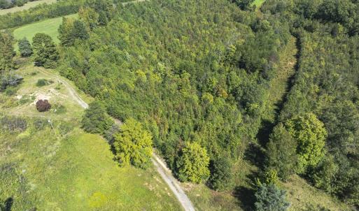 Photo #31 of 174, 176 & 135 BARKER RD, Semora, NC 36.5 acres