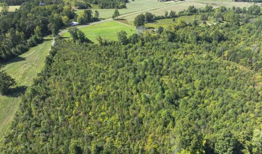 Photo #35 of 174, 176 & 135 BARKER RD, Semora, NC 36.5 acres