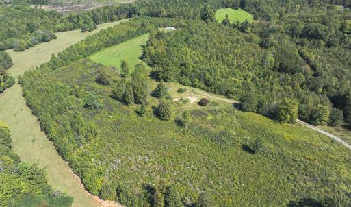 Photo #36 of 174, 176 & 135 BARKER RD, Semora, NC 36.5 acres