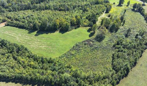 Photo #37 of 174, 176 & 135 BARKER RD, Semora, NC 36.5 acres