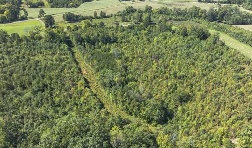 Photo #38 of 174, 176 & 135 BARKER RD, Semora, NC 36.5 acres