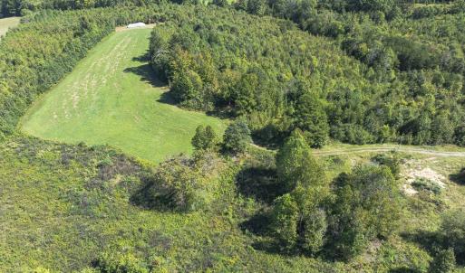 Photo #39 of 174, 176 & 135 BARKER RD, Semora, NC 36.5 acres